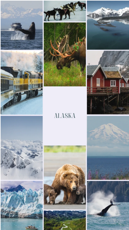 Alaska Vision Board